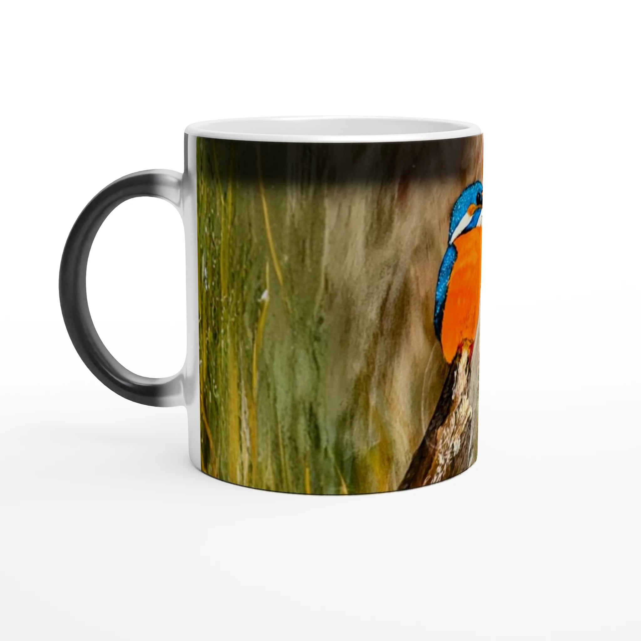 3e3ea972-be2b-4686-b468-7a26cef99b42