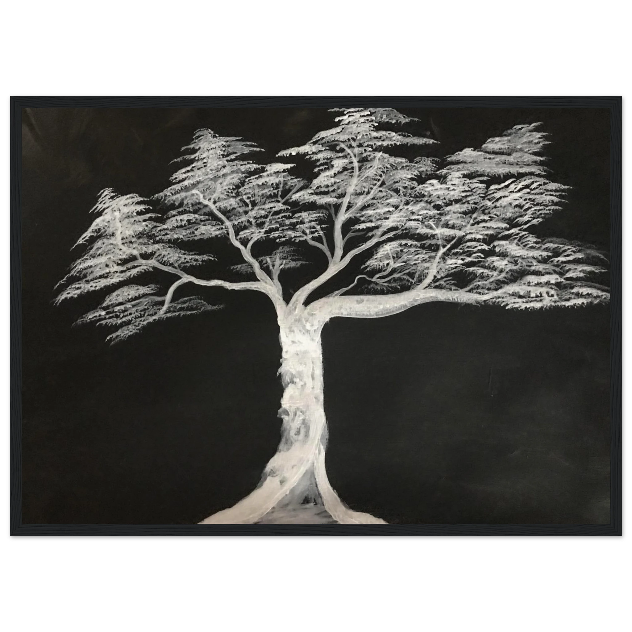 81d7a93f-53f7-4eda-a0f7-9af5334cf155