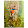 Patience Fine Art Poster - Nature-Inspired Wall Art Print | Pathfinder Art