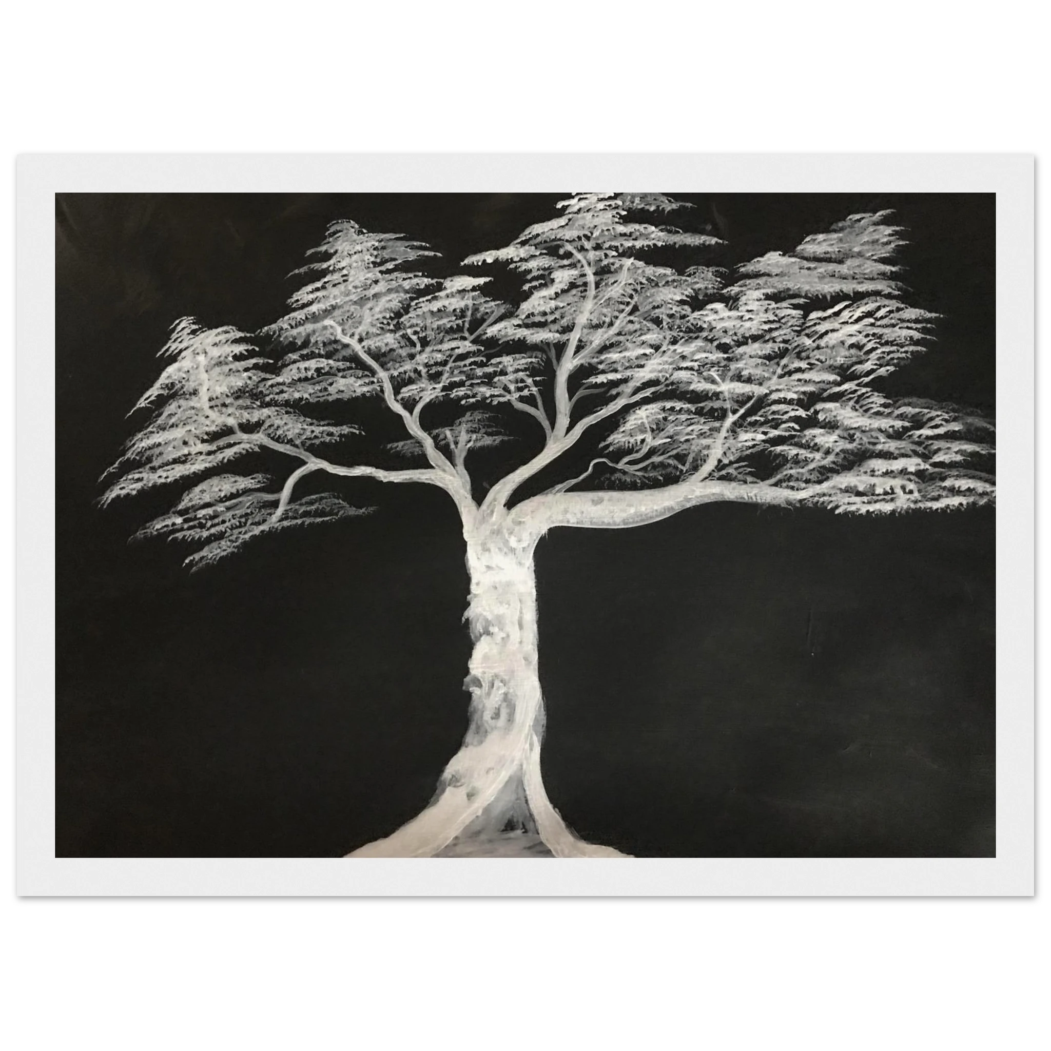 a3069344-d491-423a-bc69-0dde098172d4