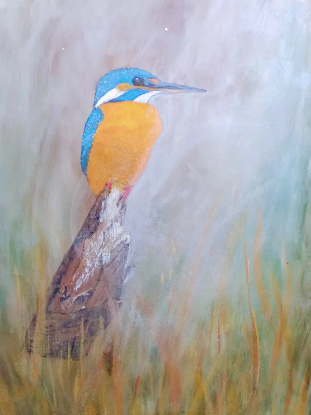 Nature & Reflection Collection