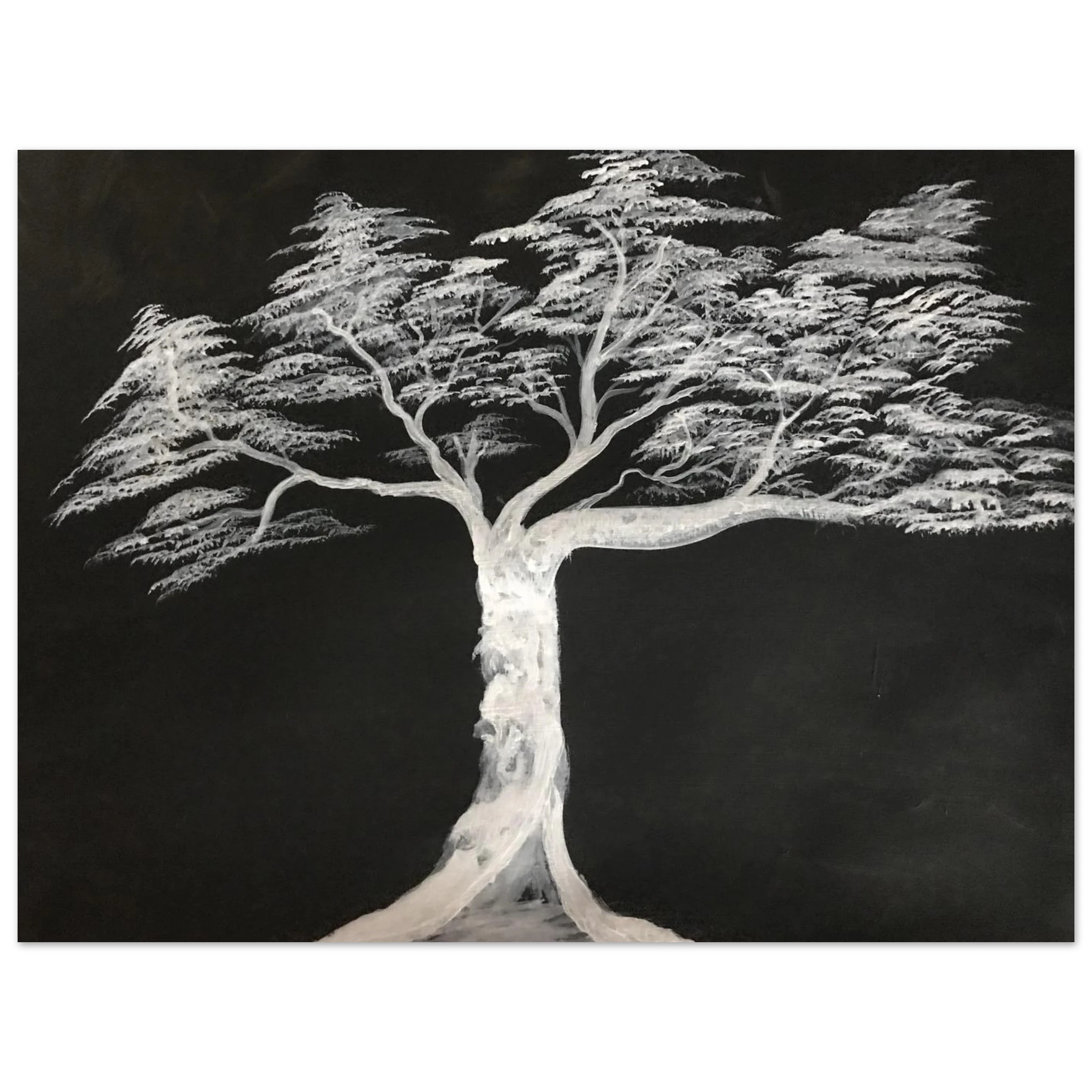 95e58533-c433-46b4-8507-10378249f124