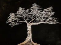 Whispers in the Branches Wall Art - Nature Spiritual Print | Pathfinder Art